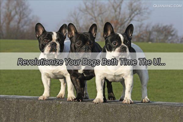 Revolutionize Your Dogs Bath Time The Ultimate Guide to Herbal Dog Baths